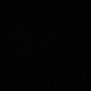 Meet your Posher, Selena